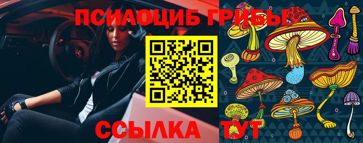 Псилоцибиновые грибы Magic Shrooms Бутурлиновка