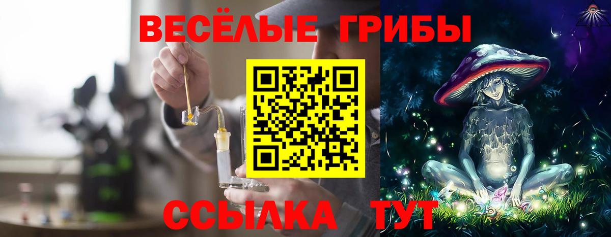 Галлюциногенные грибы Psilocybine cubensis  Вход с VPN  Бутурлиновка 